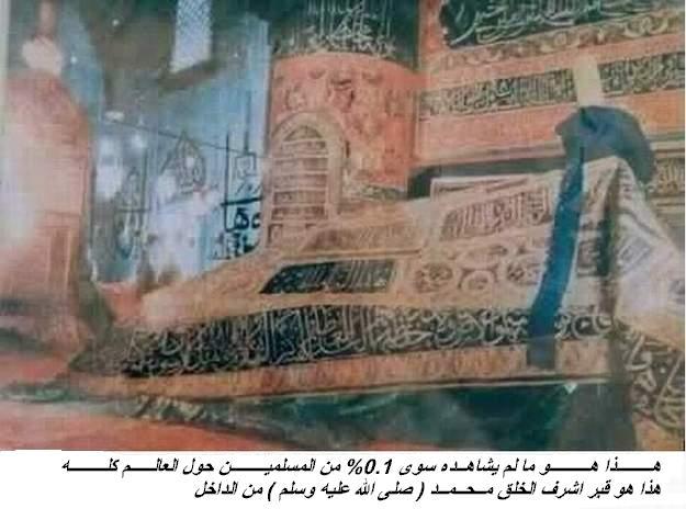 ابوبكر احمد مصطفى