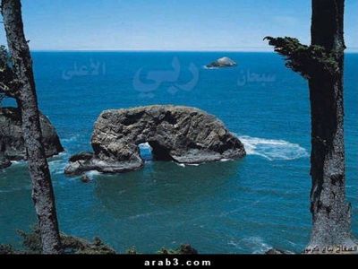 إضغط لترى الصوره كامله